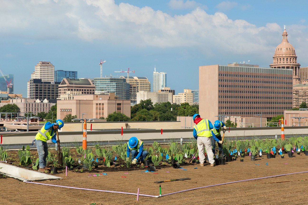 Installing Innovative Green Roof at Dell Medical School BrightView